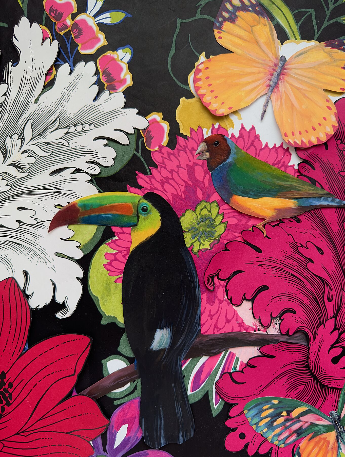 Toucan (Print)